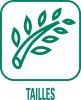 tailles